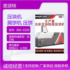 BM-6320恩派特全自動鋼銷鐵銷鋁銷壓塊機