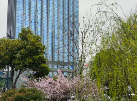 數字經濟及相關產業行業動態匯總（4.6-4.12）